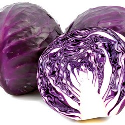 Bắp cải tím