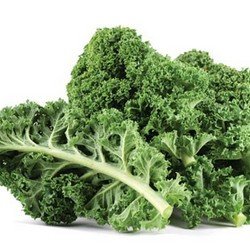 Cải xoăn (Kale)