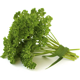 Ngò tây (Parsley)