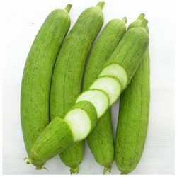 Quả Mướp