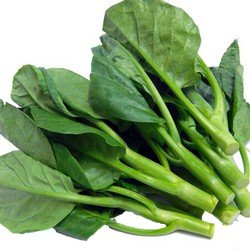 Rau mồng tơi