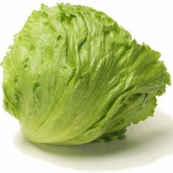 Xà lách mỹ