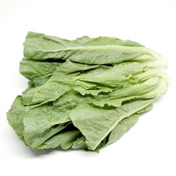 Xà lách Romaine
