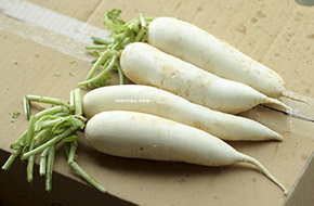 Củ cải trắng