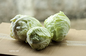 Bắp cải trái tim