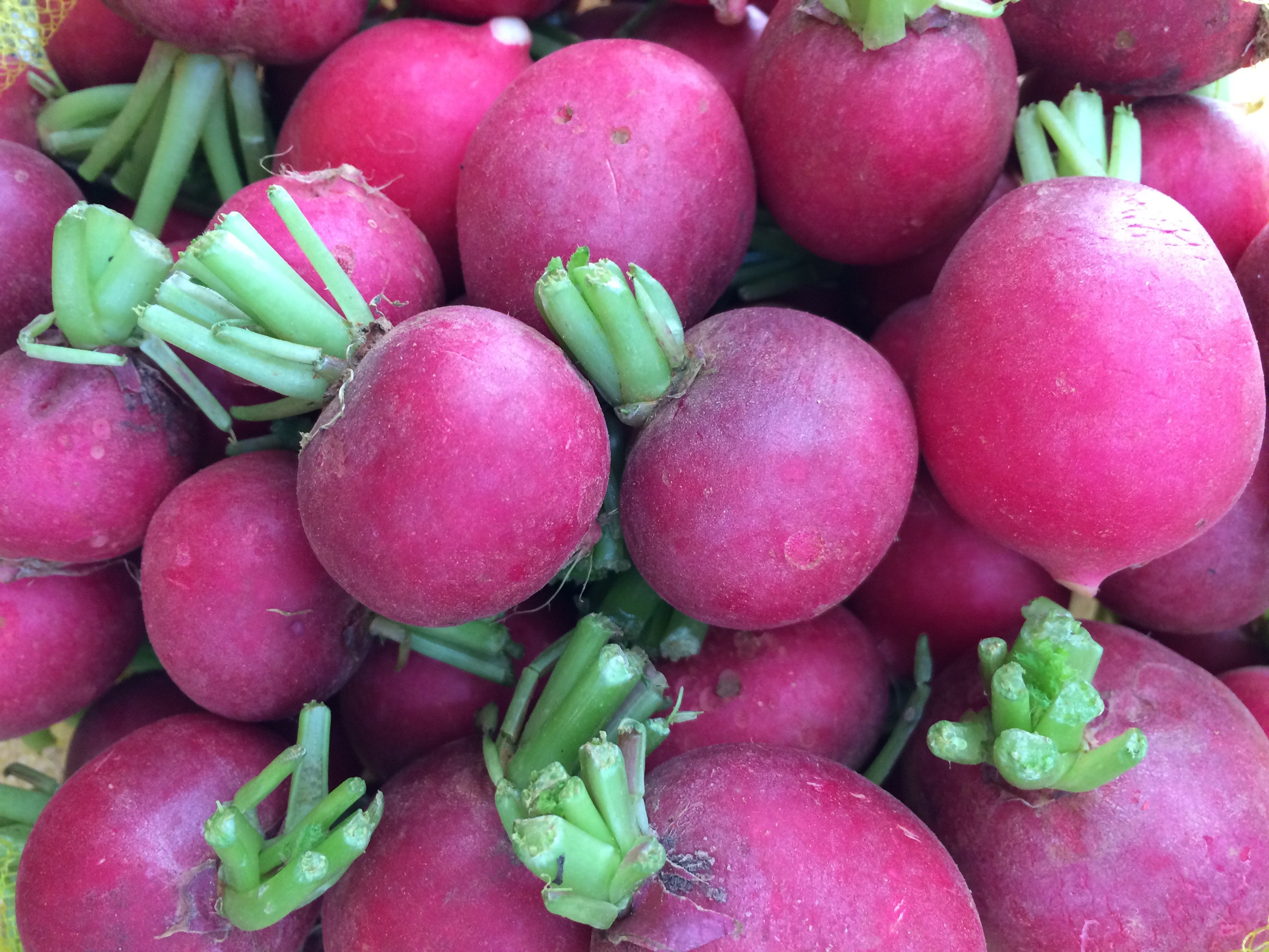 Củ cải đỏ
