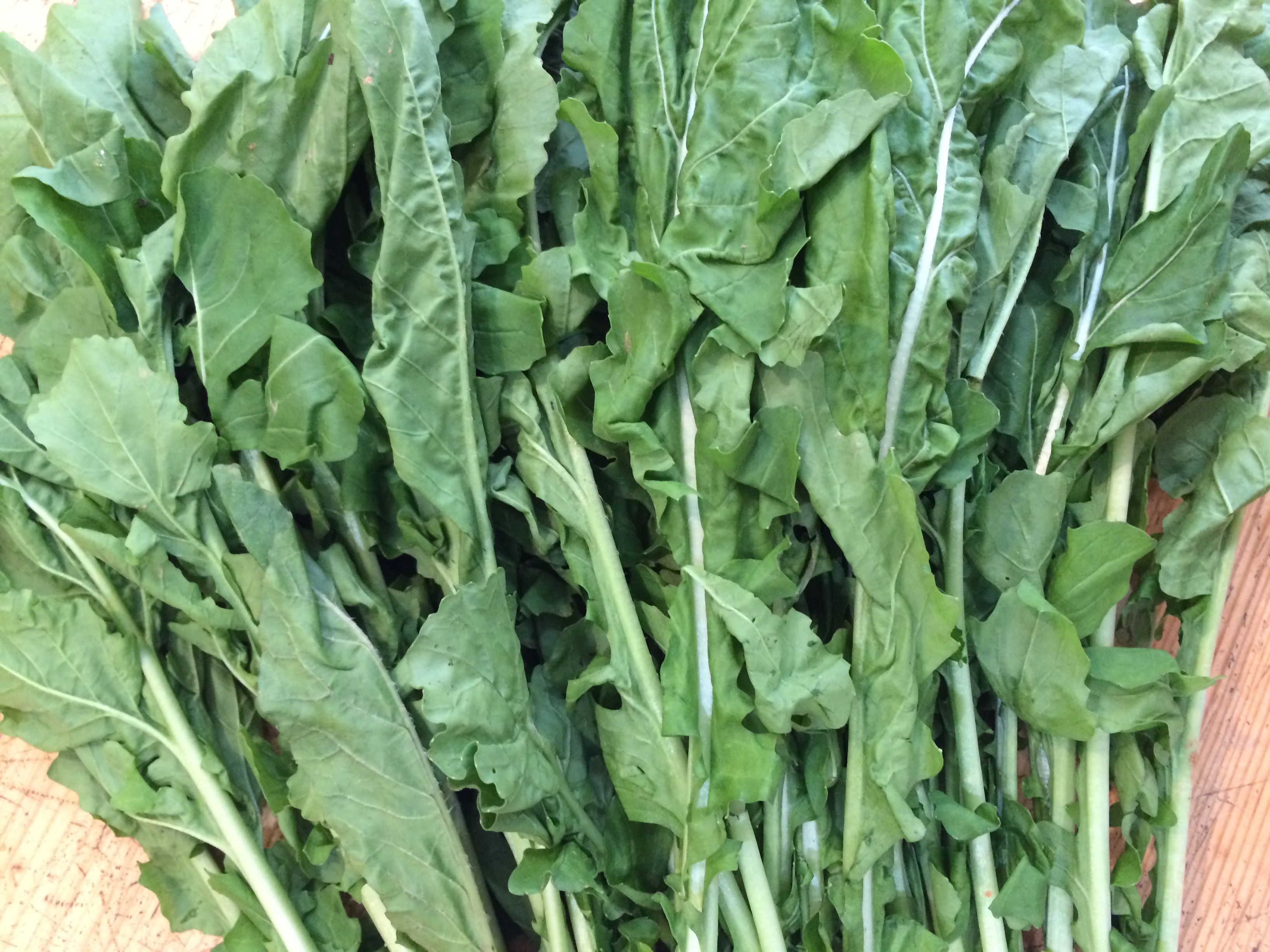 Arugula (Rocket) lá lớn