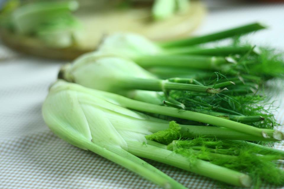 Củ hồi