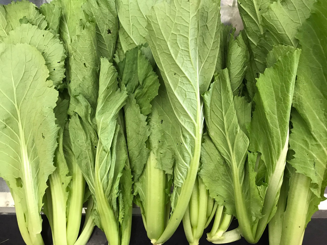 Cải bẹ xanh(cải non)