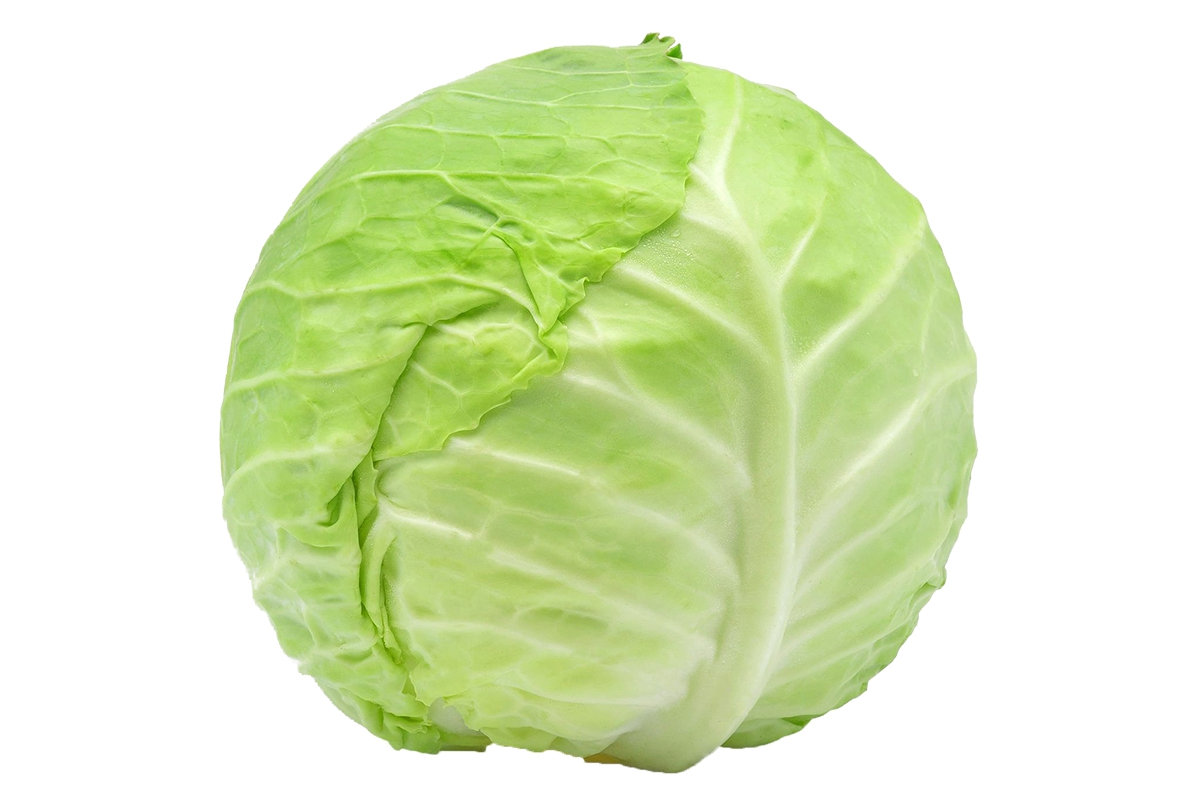 Bắp cải tròn 