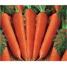 Cà rốt: Lợi ích tóc