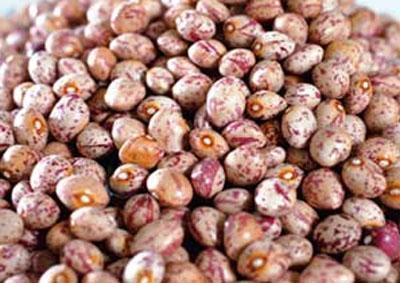 Đậu cúc - món thực phẩm tuyệt vời đang vẫy mời