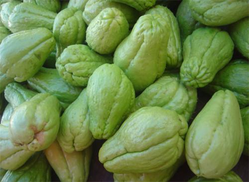 Các công dụng, lợi ích cho sức khỏe của trái susu