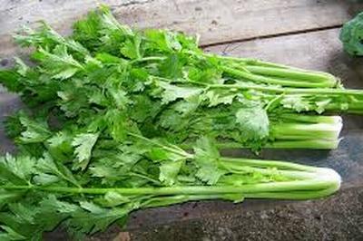 Những công dụng chữa bệnh quý báu của cần tây
