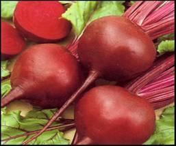 Công dụng y dược của củ dền