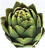 Cách dùng hoa atisô