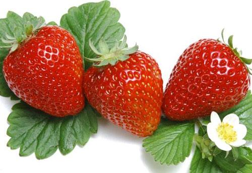 10 lợi ích tuyệt vời của dâu tây